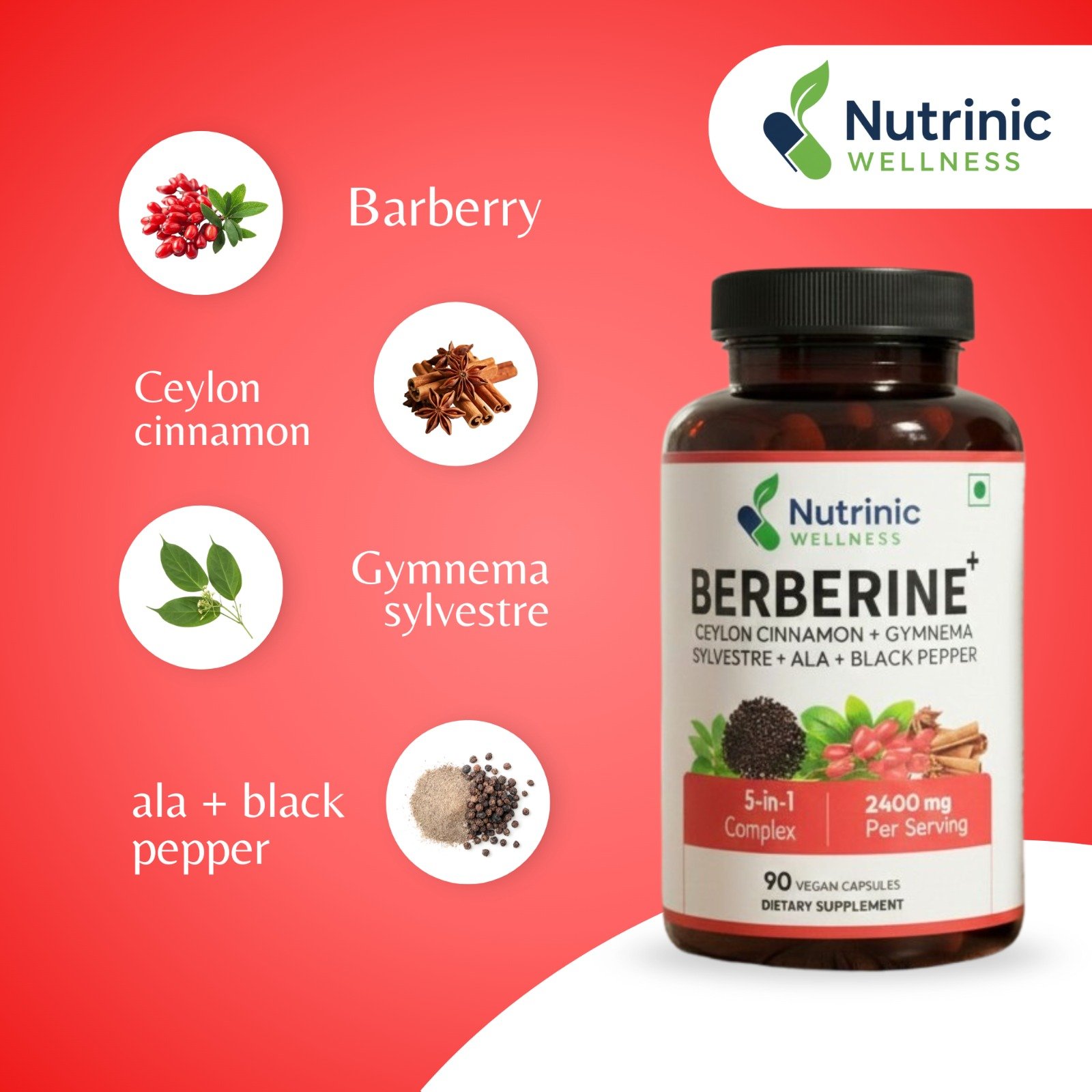 WhatsApp Image 2026-02-07 at 12.29.29 PM (3)