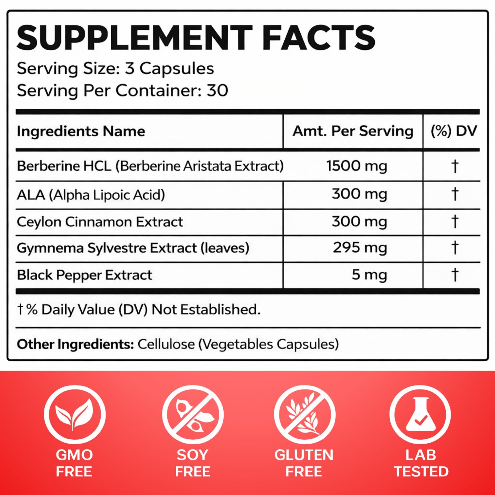 WhatsApp Image 2026-02-21 at 5.21.00 PM